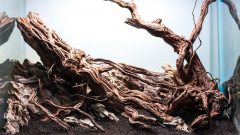 Akvaryumda Ağaç Ürünleri, Odun ve Kök Kullanımı