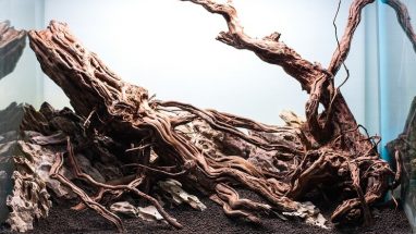 Akvaryumda Ağaç Ürünleri, Odun ve Kök Kullanımı