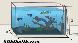 Akvaryum Hesaplama Araçları