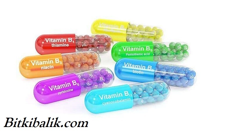 Akvaryum Vitamini (B Vitaminleri)