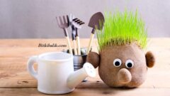 Çim Adam Yapımı Hakkında Herşey