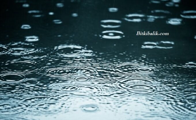 Akvaryuma Yağmur Suyu Konur Mu