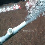 Akvaryum suyu ekleme