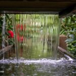 Balık suyu nasıl yapılır