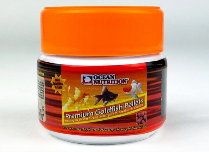 Ocean Nutrition Goldfish Japon Balığı Yemi