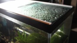 Akvaryum Buhar Camı Nedir?