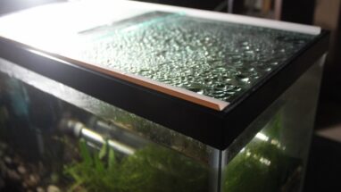 Akvaryum Buhar Camı Nedir?