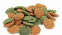 Dip Yemi Nasıl Kullanılır?